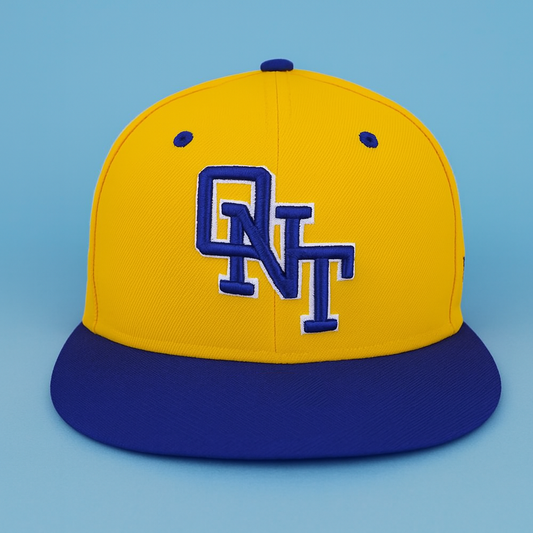 2026 QNT Tower Buzzers Dodgers Blue Hat