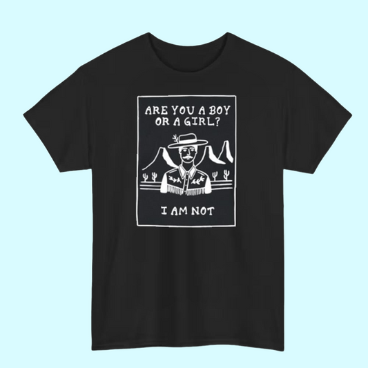 Are You A Boy Or A Girl I Am Not Shirt