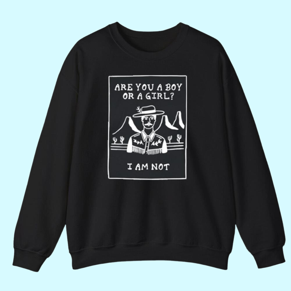 Are You A Boy Or A Girl I Am Not Shirt