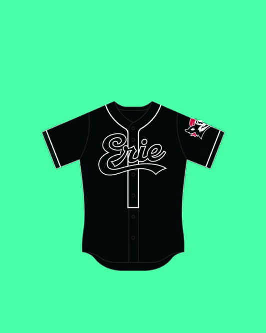 Erie SeaWolves Jersey Giveaway 2025